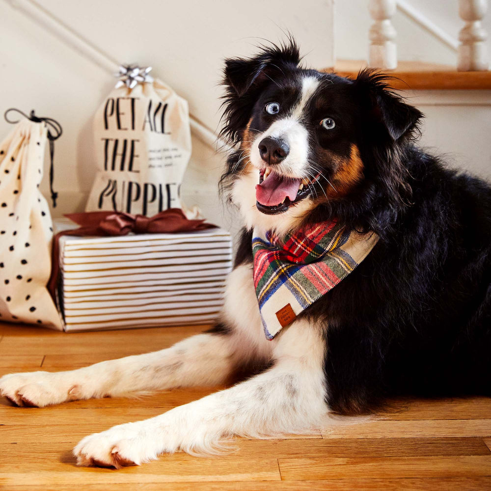 Regent Plaid Flannel Holiday Dog Bandana: Large - Something Splendid Co.