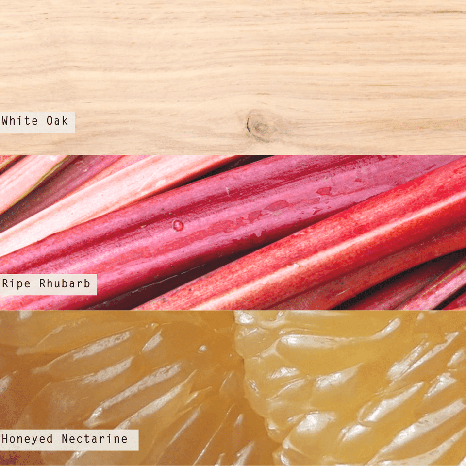 Rhubarb Honey Demi Vanity Tin Candle - Something Splendid Co.