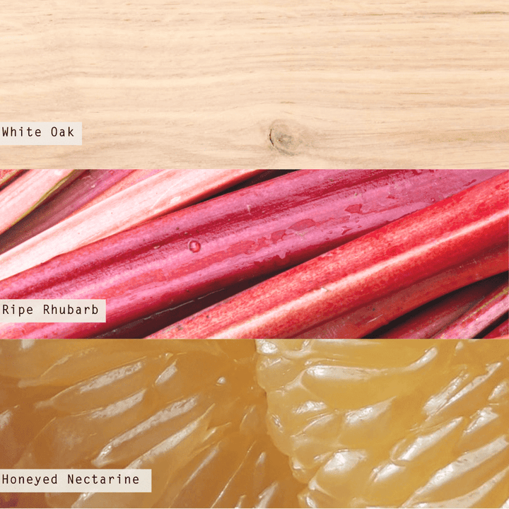 Rhubarb Honey Demi Vanity Tin Candle - Something Splendid Co.