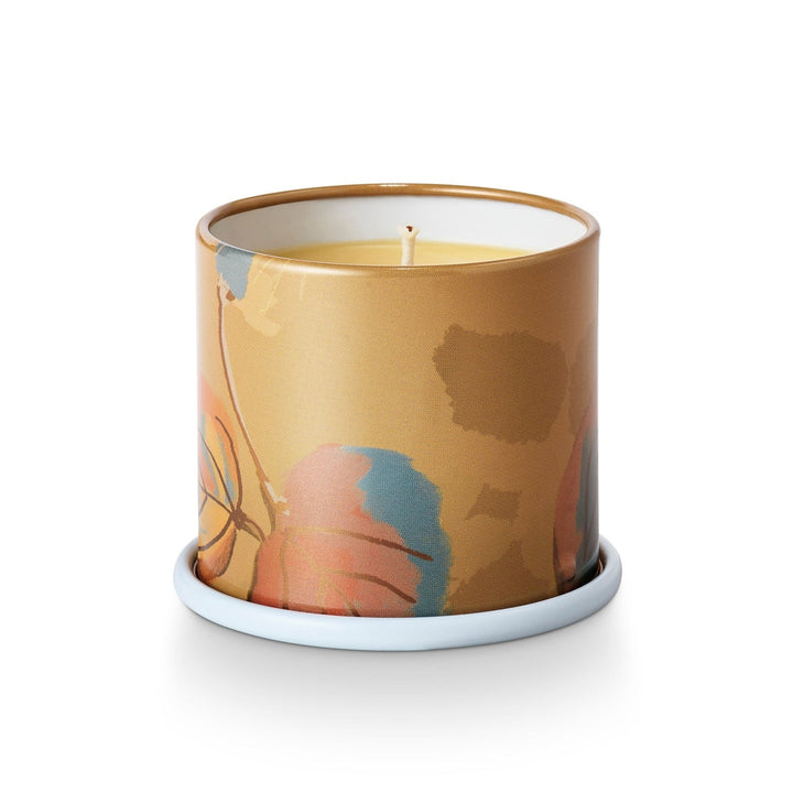 Santal Birch Demi Vanity Tin Candle - Something Splendid Co.