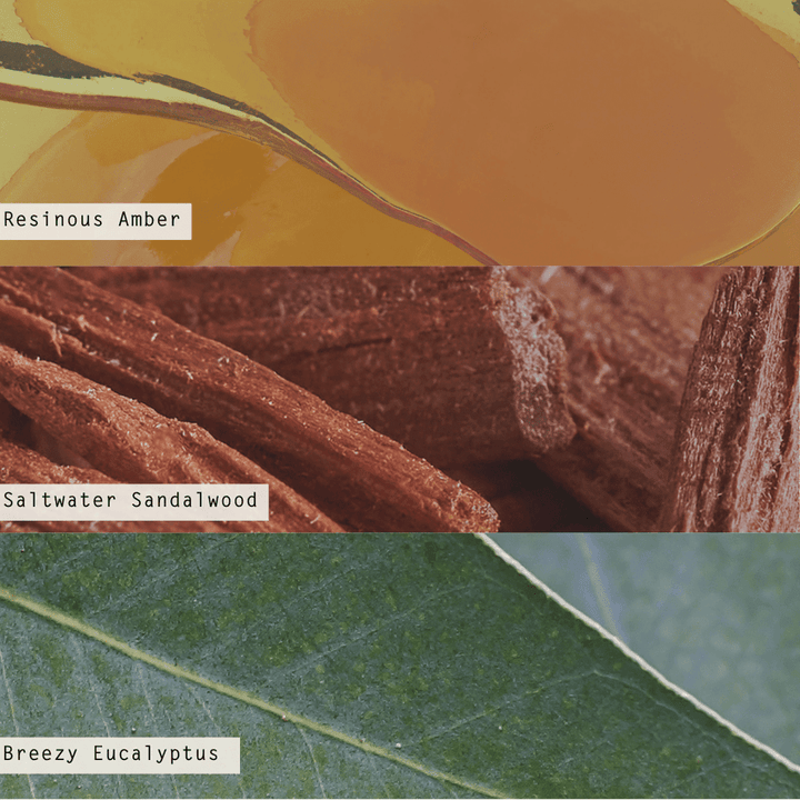 Santal Birch Demi Vanity Tin Candle - Something Splendid Co.