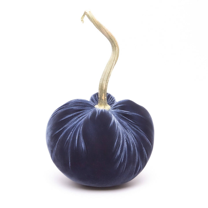 Sapphire Silk Velvet Pumpkin - Something Splendid Co.