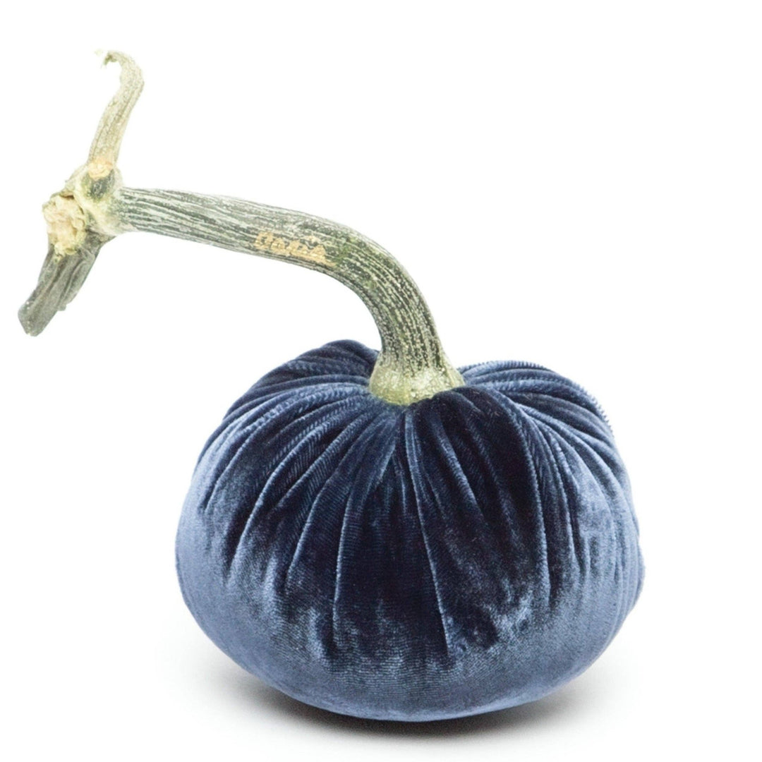 Sapphire Silk Velvet Pumpkin - Something Splendid Co.