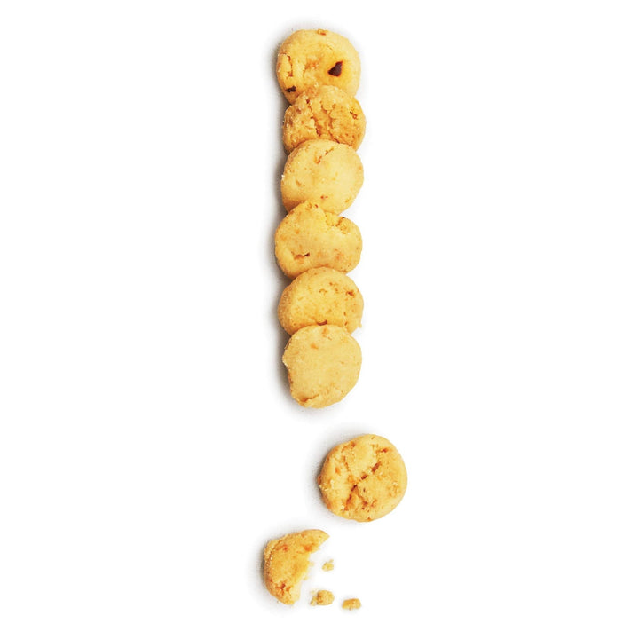 Savory Cheese Coins - Something Splendid Co.