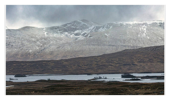 Scotch - Something Splendid Co.