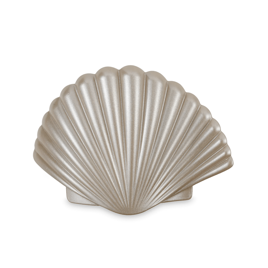 Shimmering Shell Medium Flat Hair Clip - Something Splendid Co.