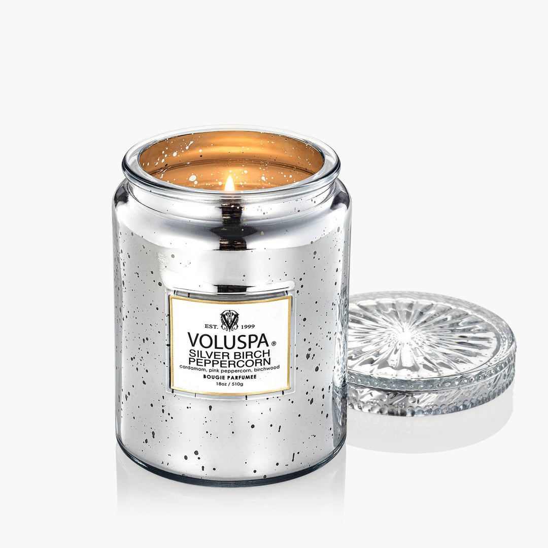 Silver Birch Peppercorn Large Jar Candle - Something Splendid Co.