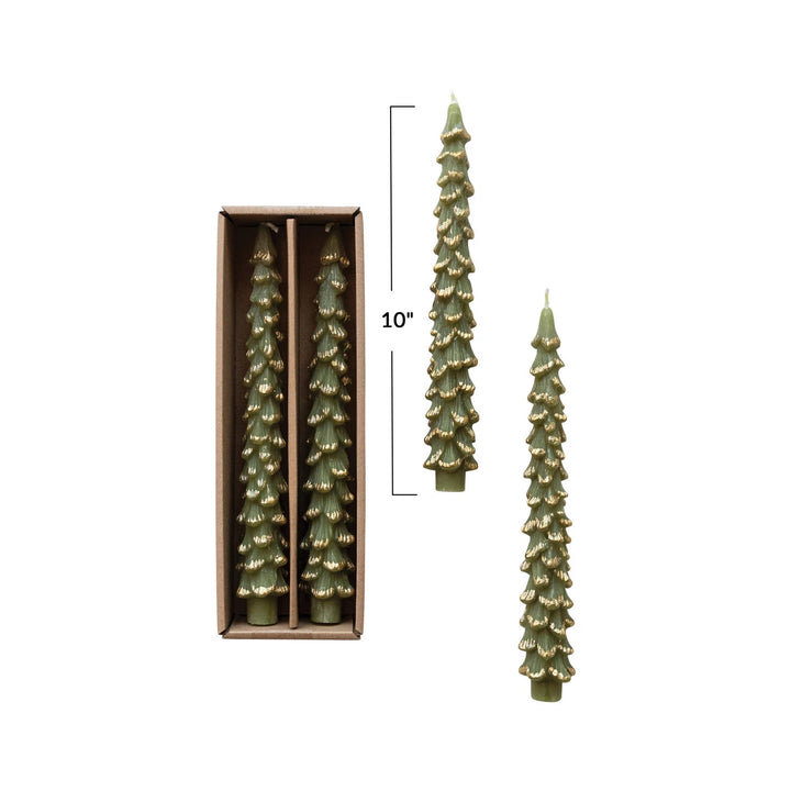 Unscented Tree Shaped Taper Candles w/ Gold Tips in Box, Evergreen Color, Set of 2 - Something Splendid Co.